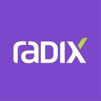 Radix Engineering & Software logo